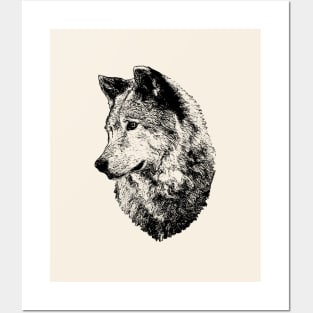 Wolf portrait Posters and Art